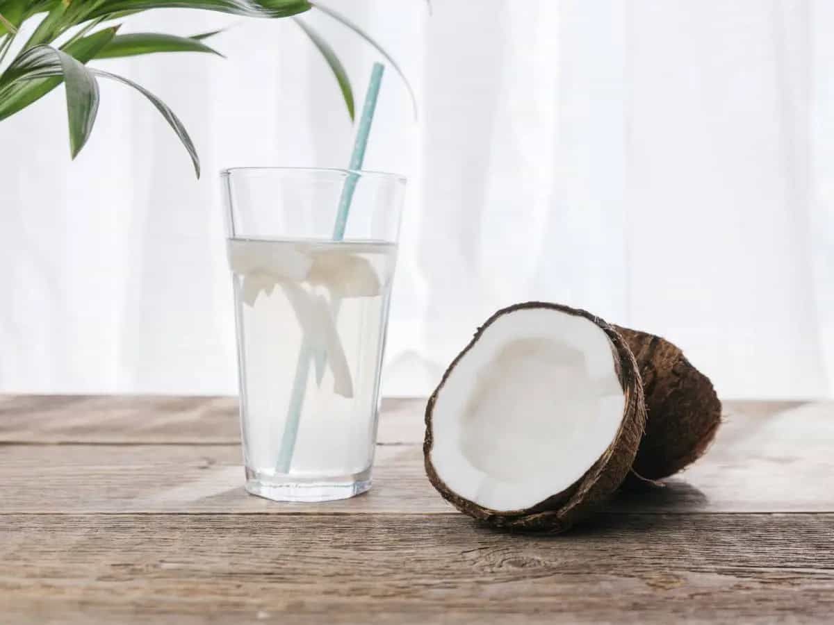 Qual è la differenza tra acqua e latte di cocco?