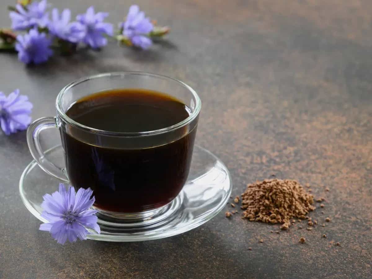 Caffè di cicoria: gli effetti collaterali che possono derivare dal suo consumo