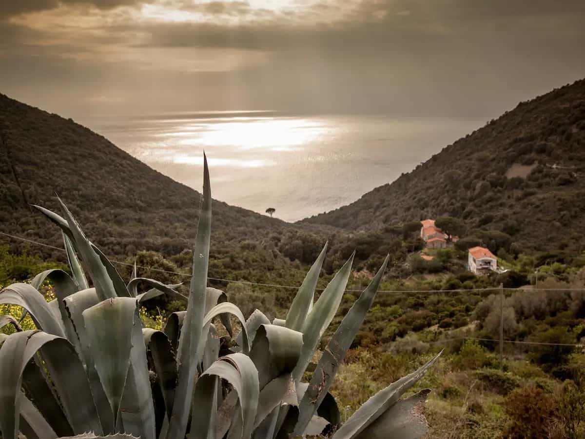 Isola d'Elba: natura e paesaggi oltre il mare