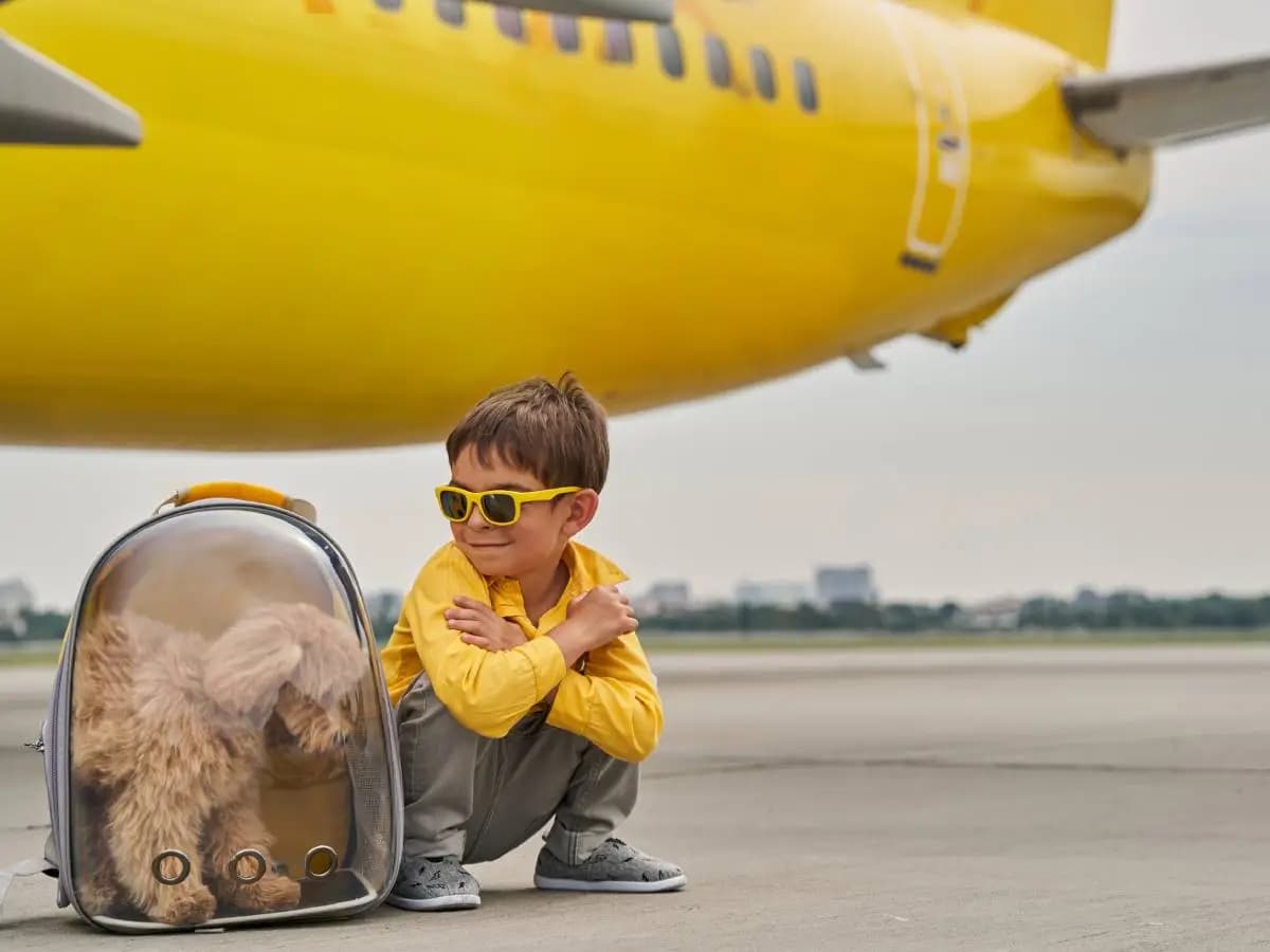 Viaggiare con il cane in aereo: cosa fare