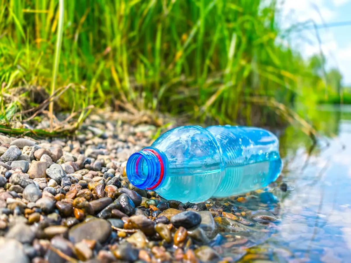 Il 35% della plastica trovata nei fiumi è ancora monouso