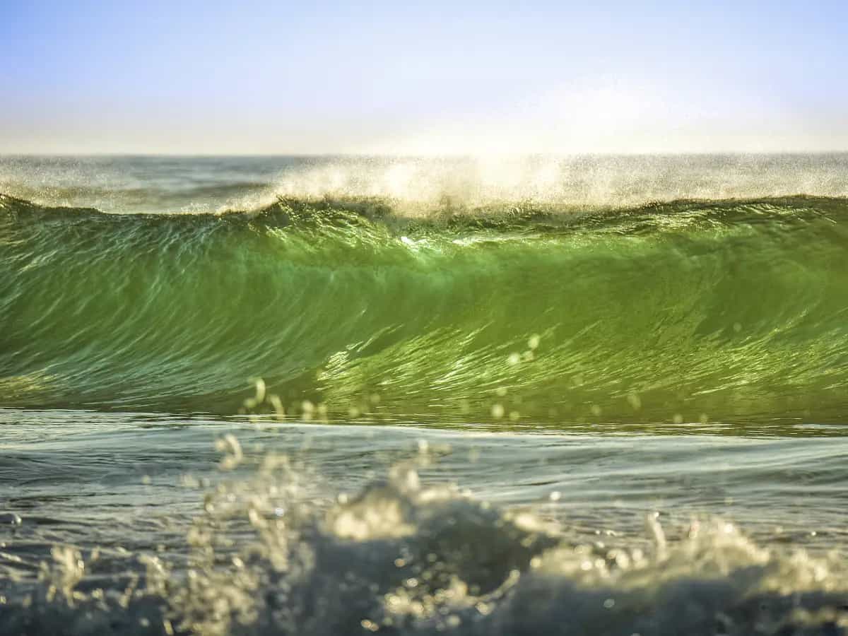 perche oceani verdi
