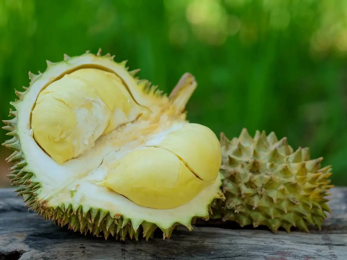Cos’è il durian, il frutto più puzzolente del mondo