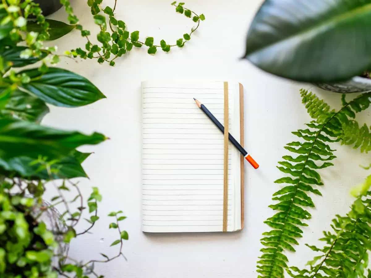 Agenda 2030: il punto sull’obiettivo 4, istruzione di qualità per tutti