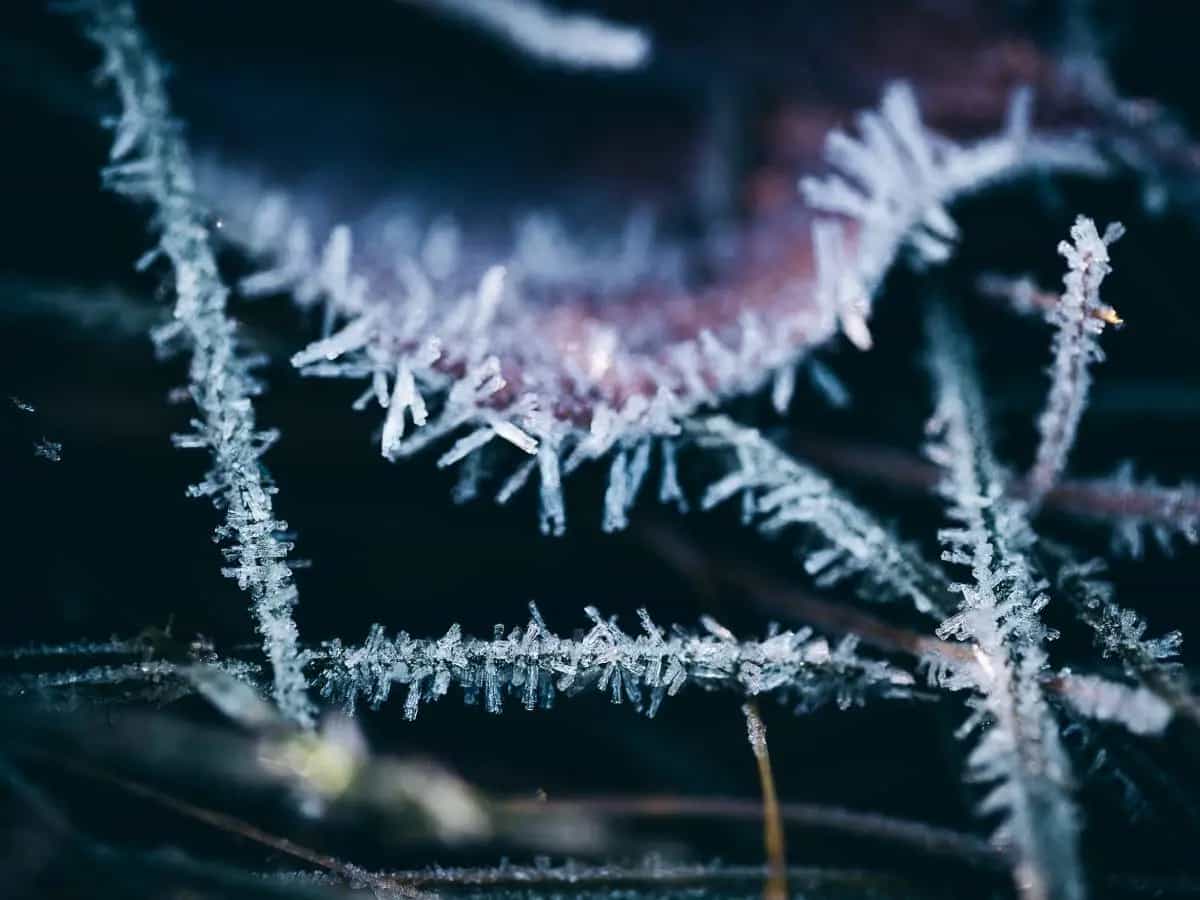 Galaverna, cos’è e che differenza c’è con la brina