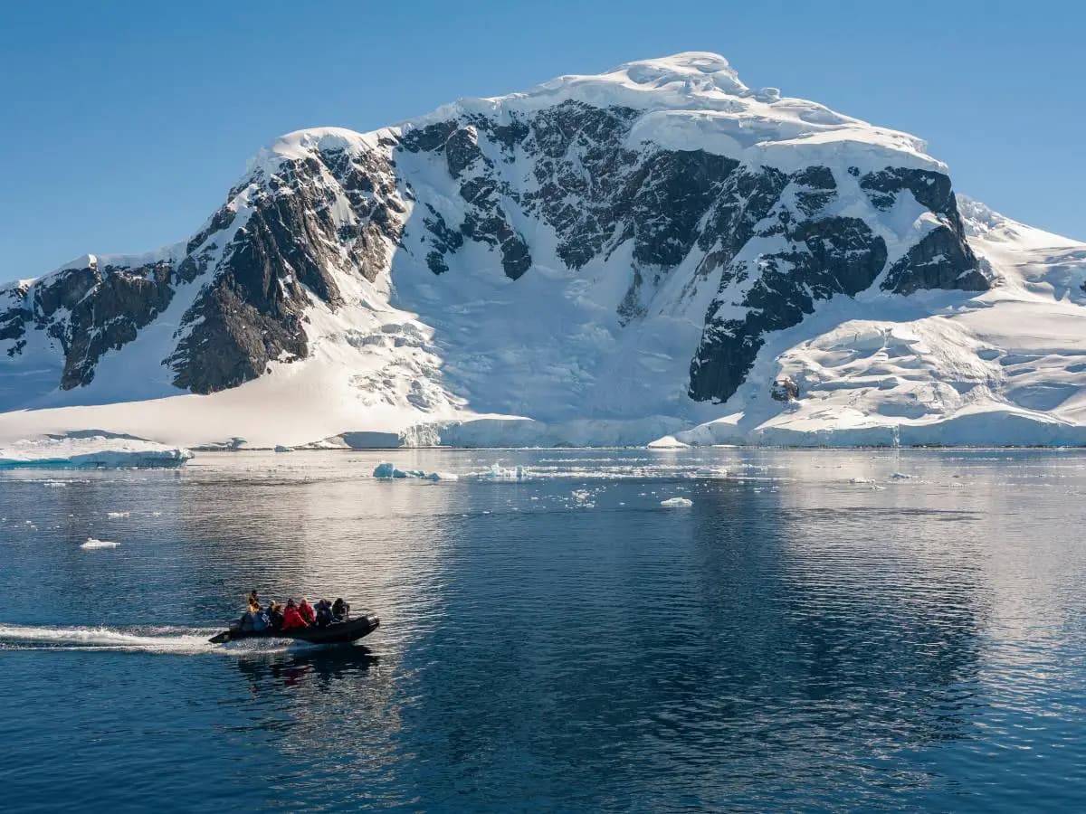 Acque antartiche sempre più acide: in pericolo la vita
