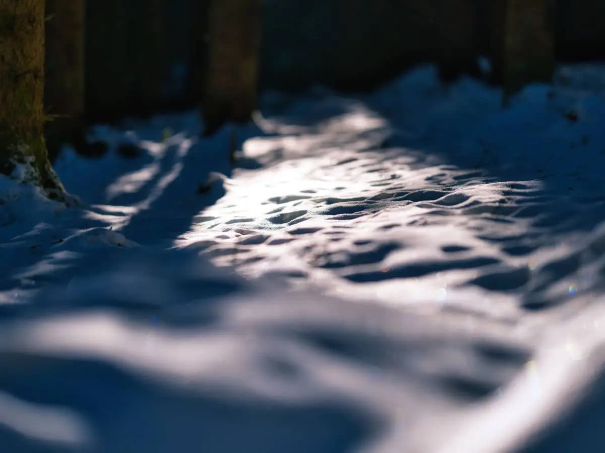 “Inverno”, la bellissima poesia di Giuseppe Ungaretti