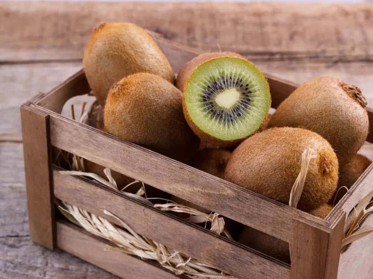 Mangiare kiwi migliora l'umore, dice la scienza