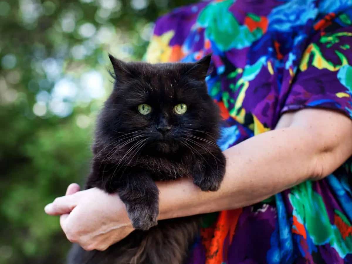 Giornata Anti Superstizione: stavolta i protagonisti sono gli animali