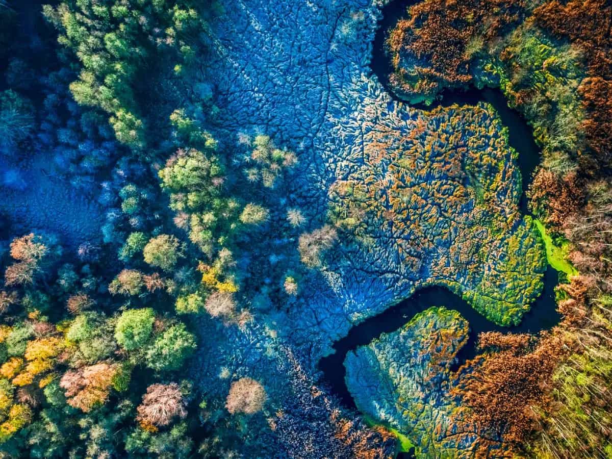 Biodiversità: cos’è e perché è importante