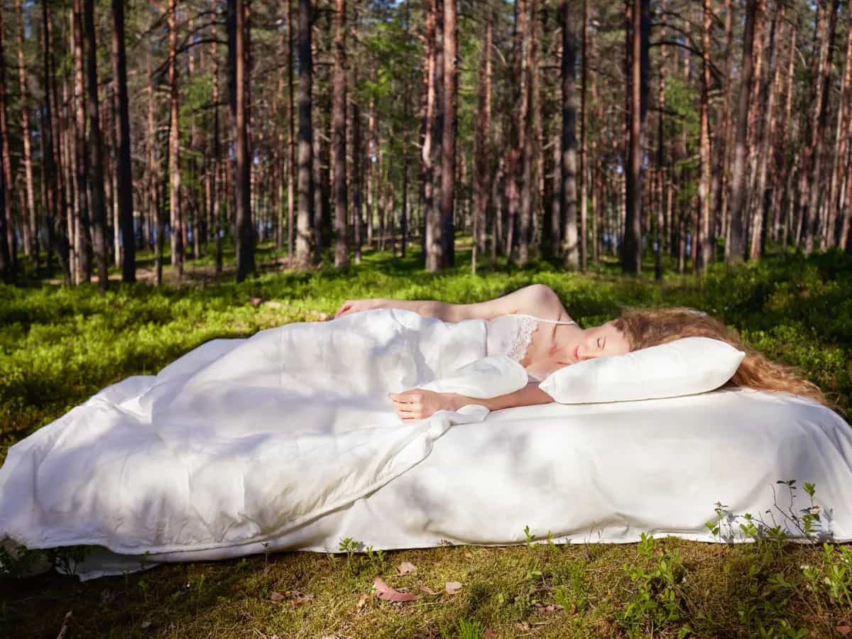 Dormire nel bosco apporta benefici e migliora la qualità del sonno