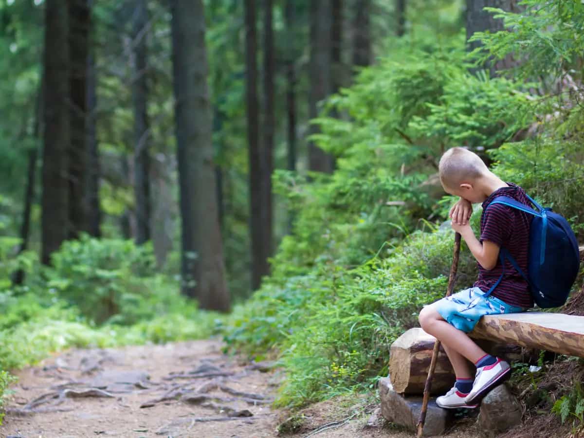 Autismo, le foreste luogo ideale per esperienze terapeutiche