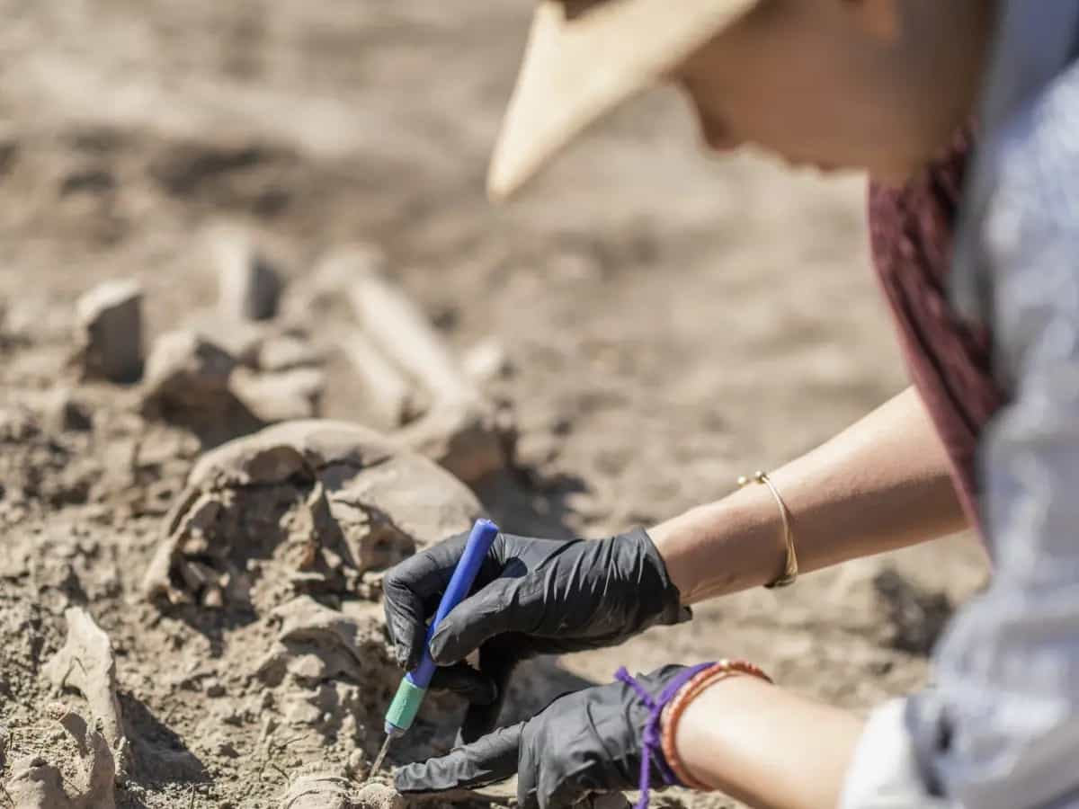 Archeologia, siti a rischio a causa dell'inquinamento da microplastiche
