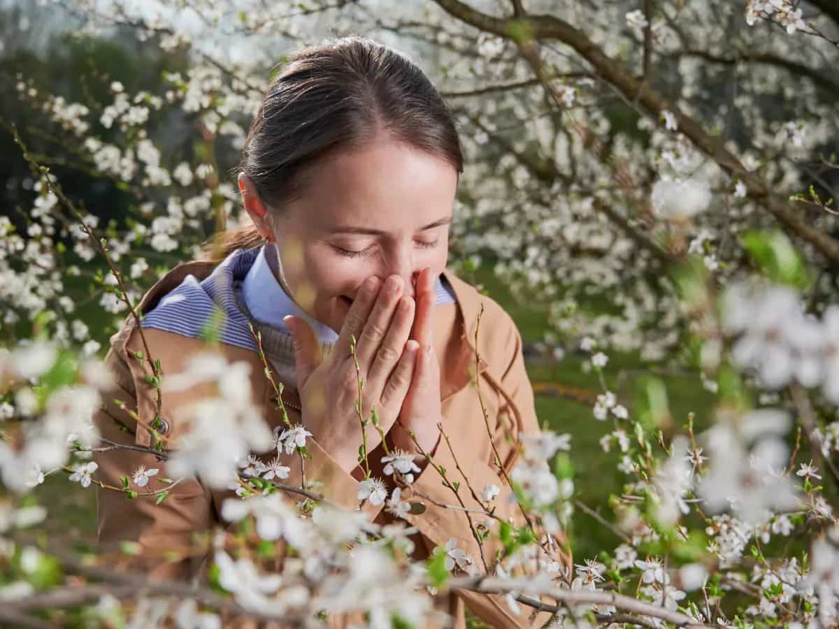 Il cambiamento climatico peggiora le allergie di primavera