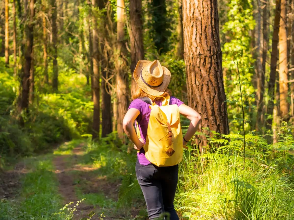 Il Parco Nazionale delle Foreste Casentinesi, il polmone verde tosco-romagnolo