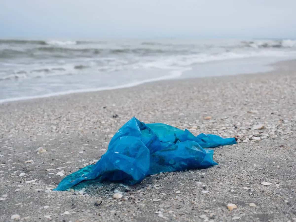Eliminare le borse di plastica, sono più efficace tasse o divieti