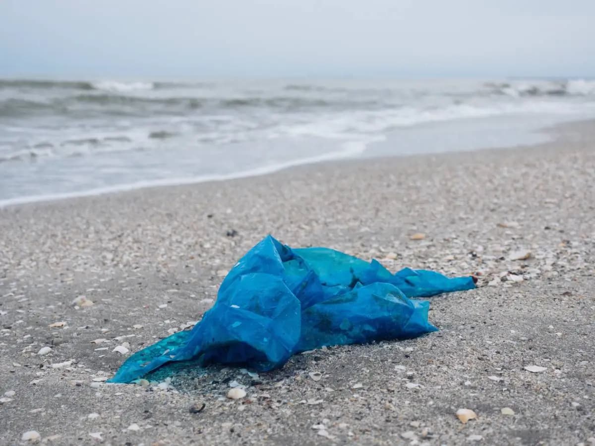 Eliminare le borse di plastica, sono più efficace tasse o divieti