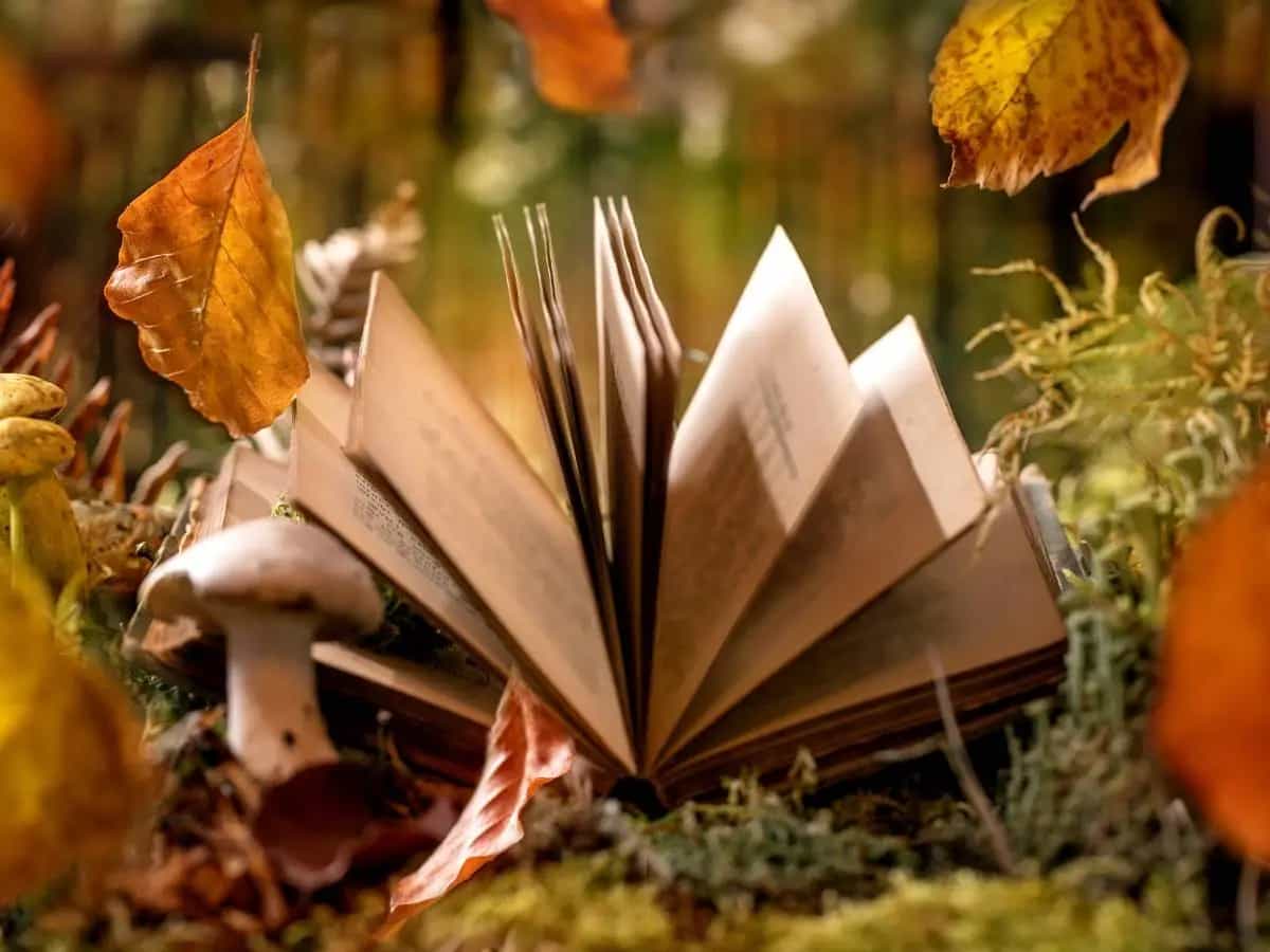 Novembre, la bellissima poesia di Vincenzo Cardarelli