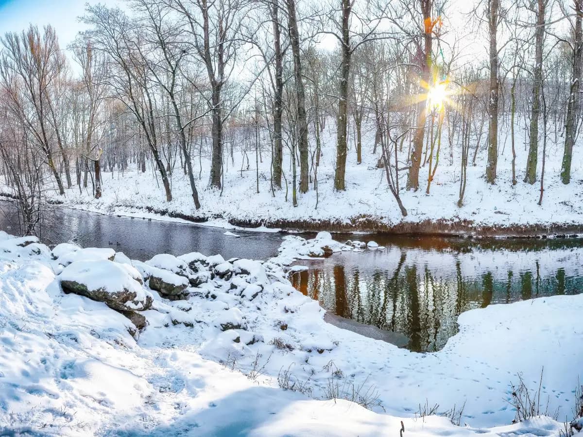 Gli aforismi più belli sul freddo invernale