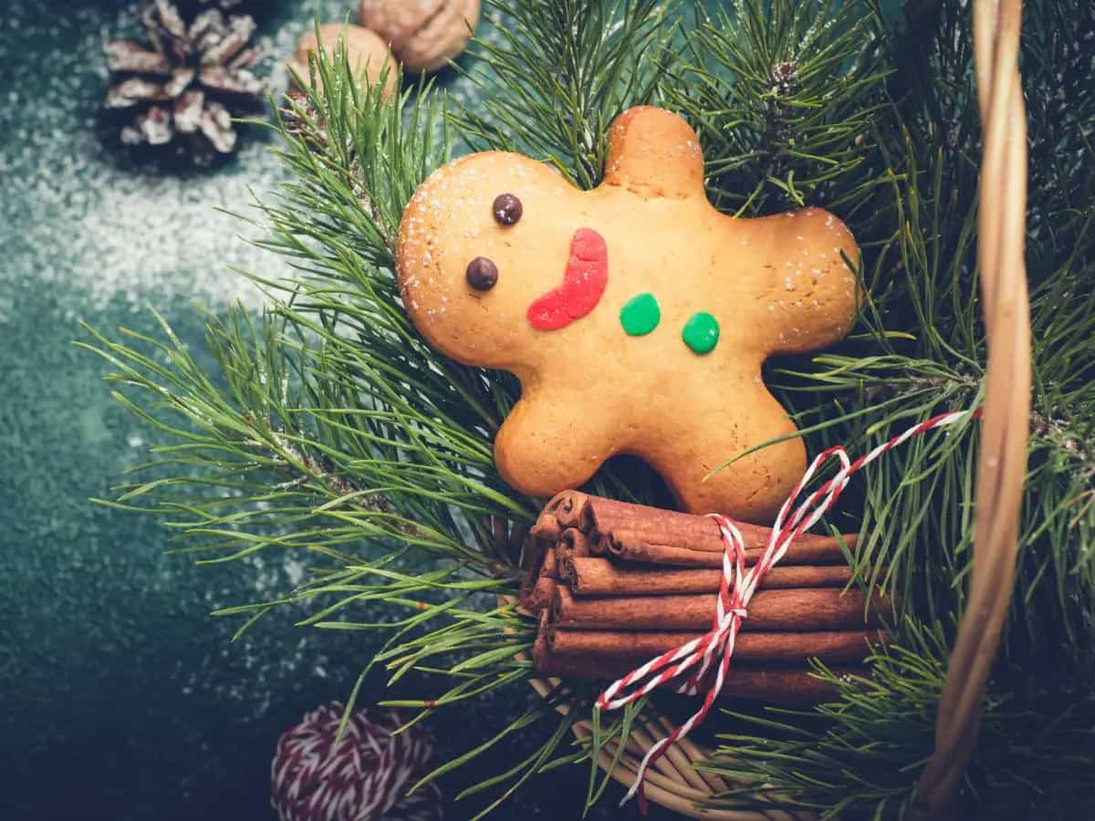 Addobbi natalizi commestibili, ecco alcune idee
