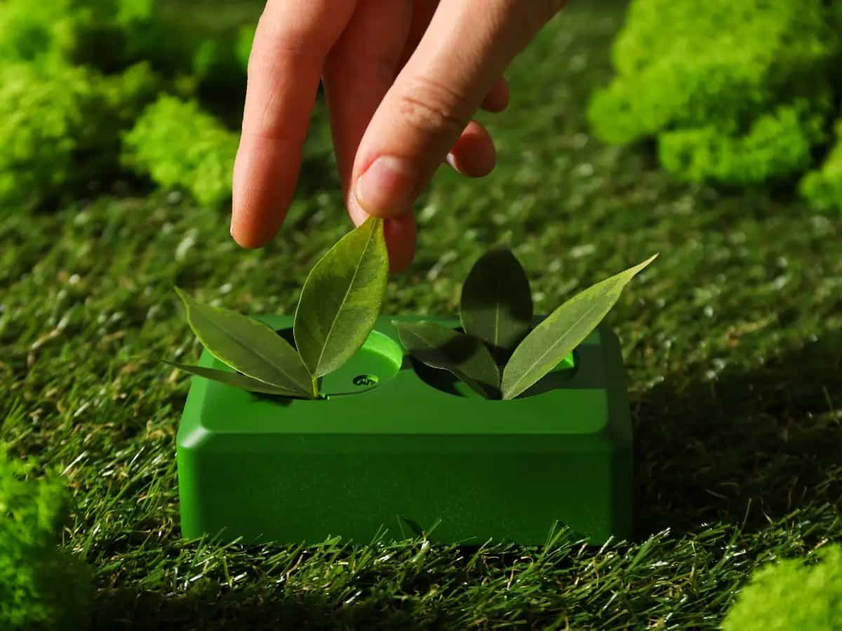Batteria microbica: cos’è e come produce energia dal suolo