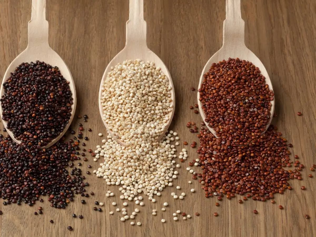 Tipi di quinoa, differenza, quale scegliere e come cucinarla