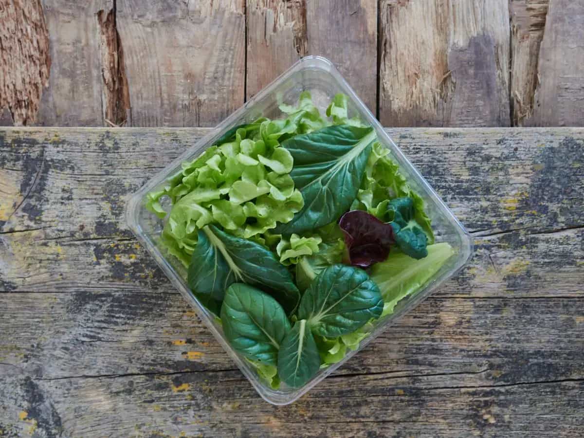 L’insalata in busta scaduta si può mangiare, ecco a cosa fare attenzione