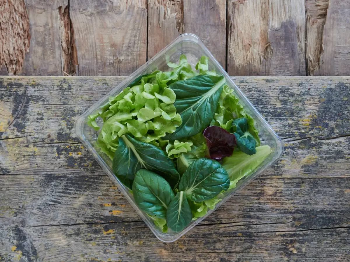 L’insalata in busta scaduta si può mangiare, ecco a cosa fare attenzione