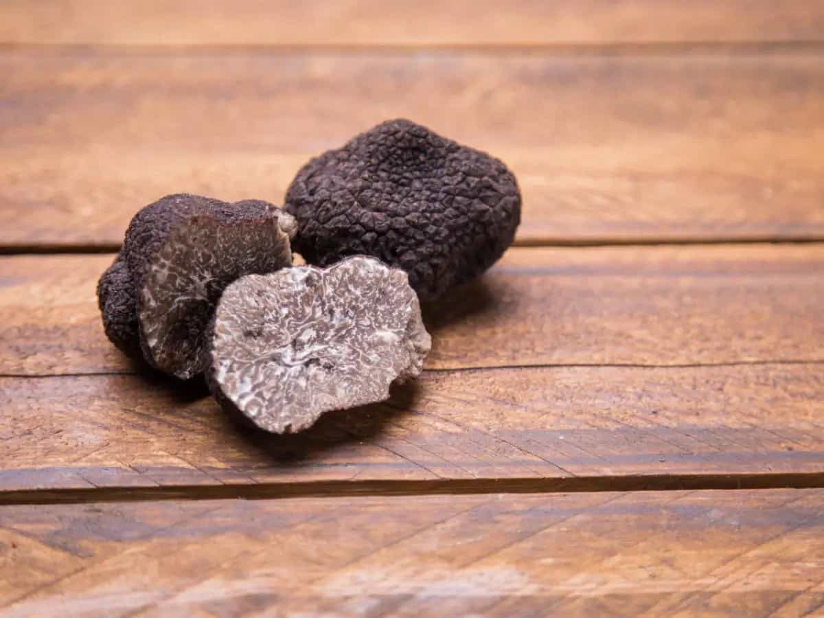 Qual è la differenza tra tartufo nero scorzone e uncinato