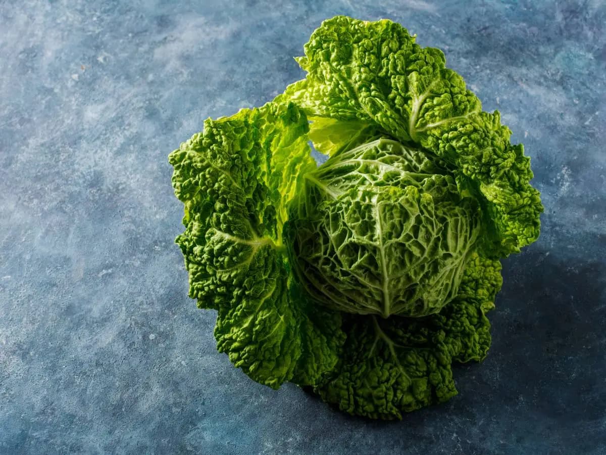 Cavolo nero e verza, differenze e come usarli in cucina