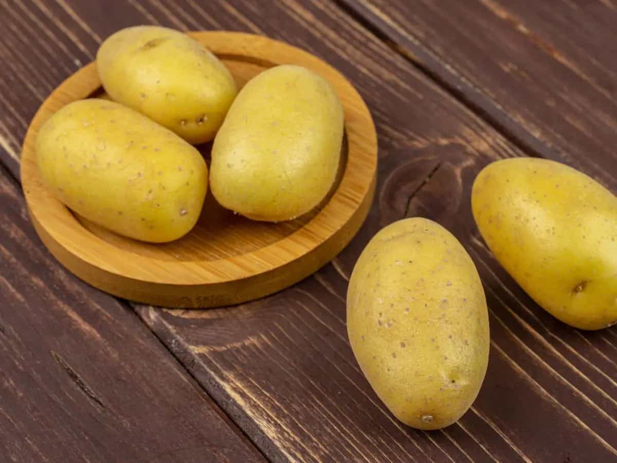 Qual è la differenza tra patata e batata