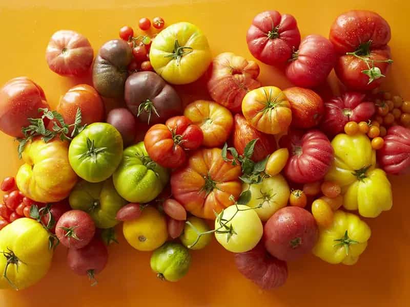 Il segreto dei pomodori dell orto