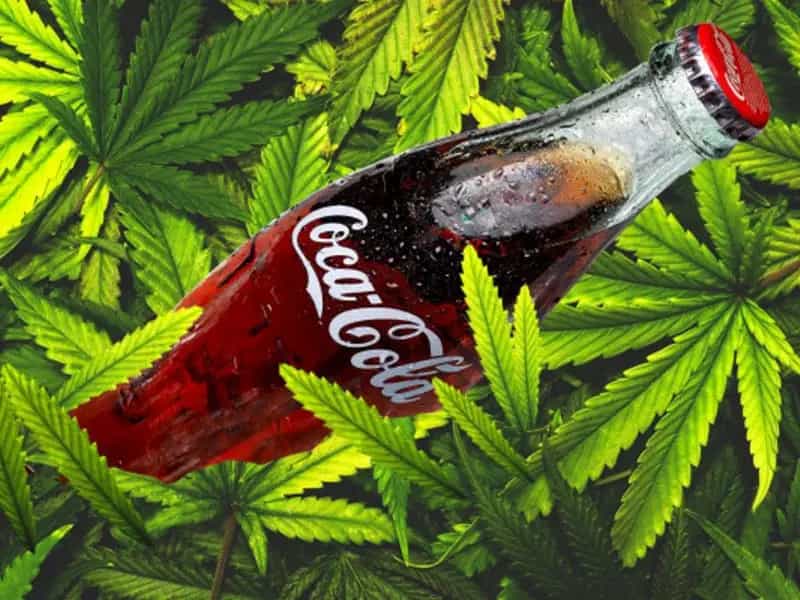 coca cola bevande cannabis