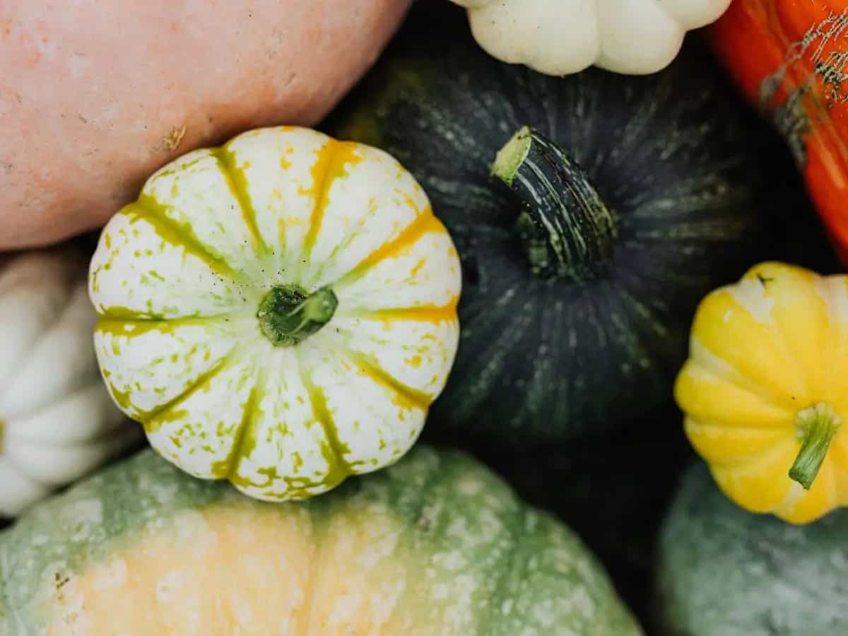 calendario frutta verdura ottobre