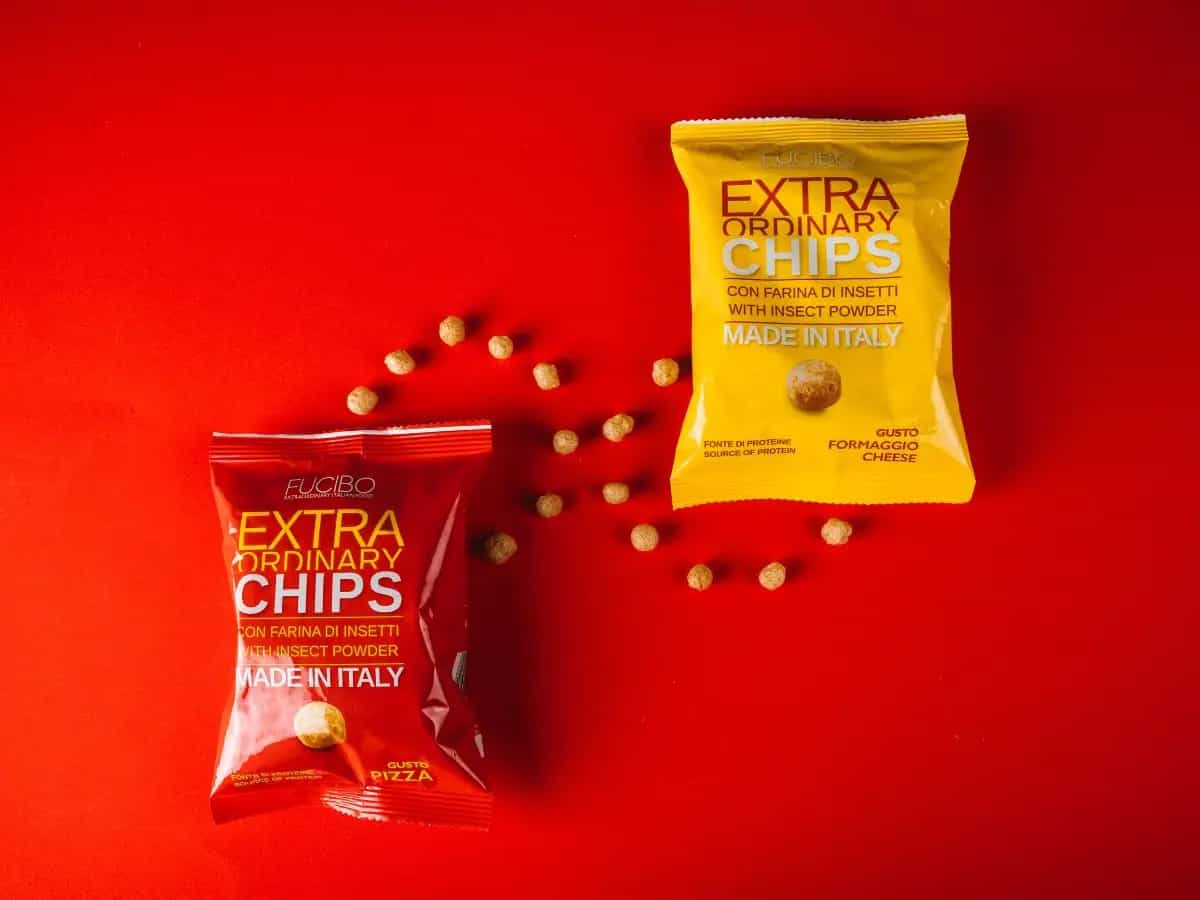 Le prime patatine a base di insetti prodotte in Italia arrivano nei supermercati
