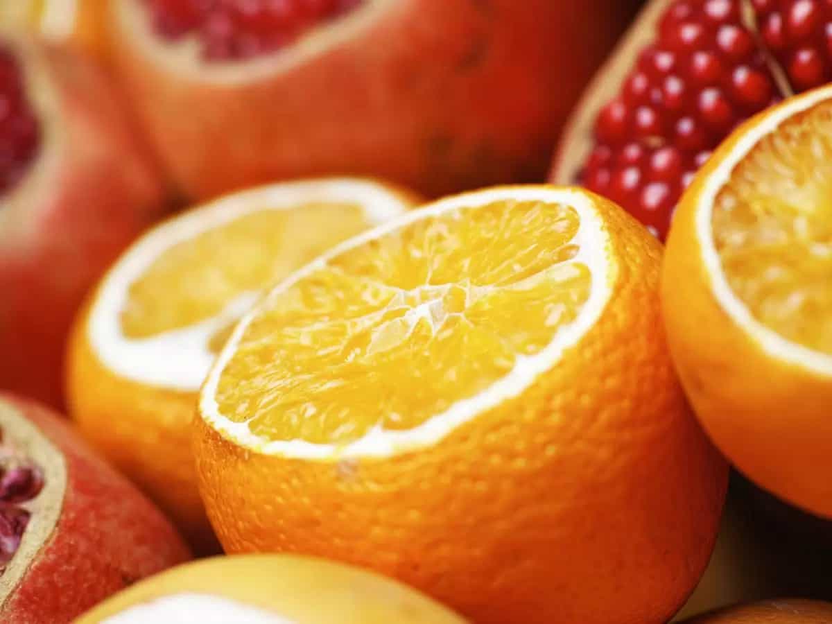 differenza arance Tarocco Valencia Navel Washington