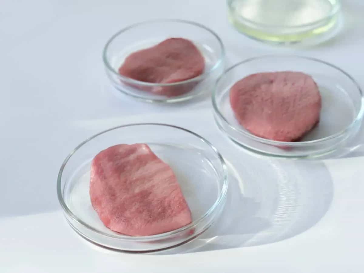 cibo sintetico vegano