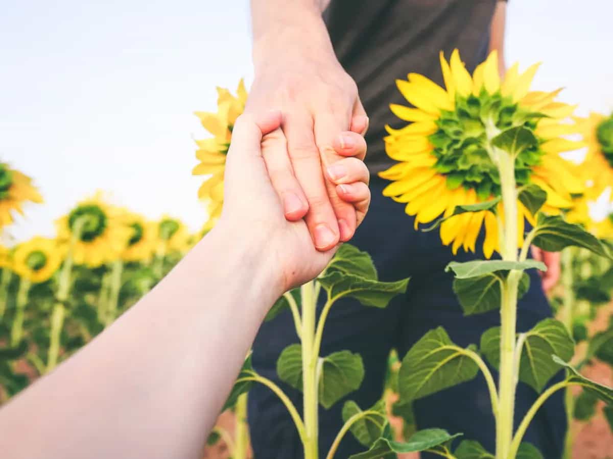 equo solidale biologico