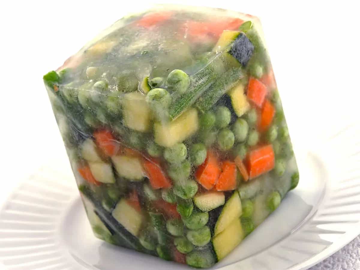 alimentos congelados veganos y aquellos que se preocupan por su salud