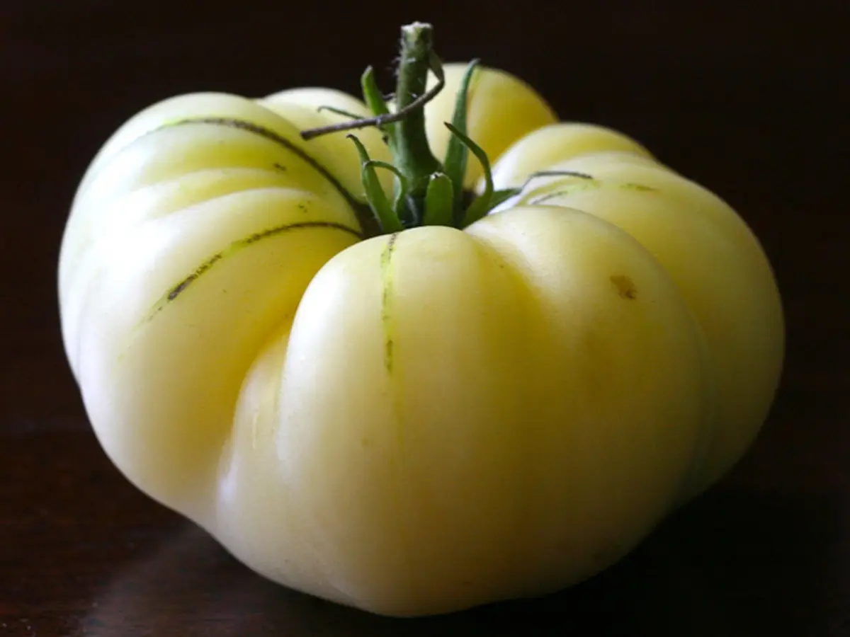 tomate blancos