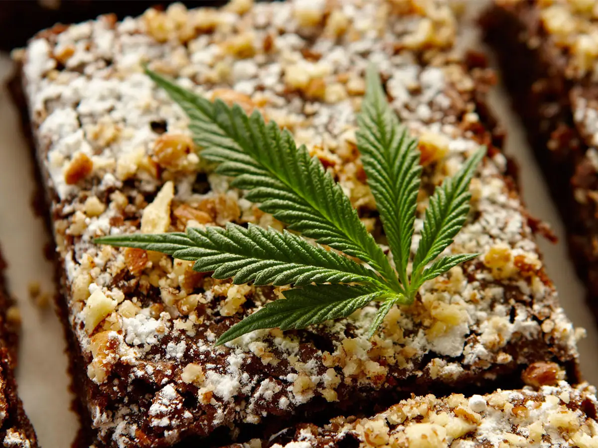 El cannabis comestible se convierte en la tendencia del año