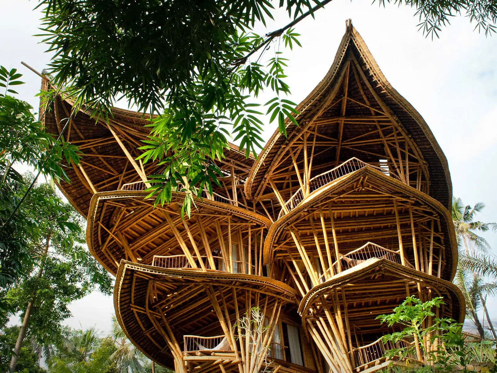 bambu casas green