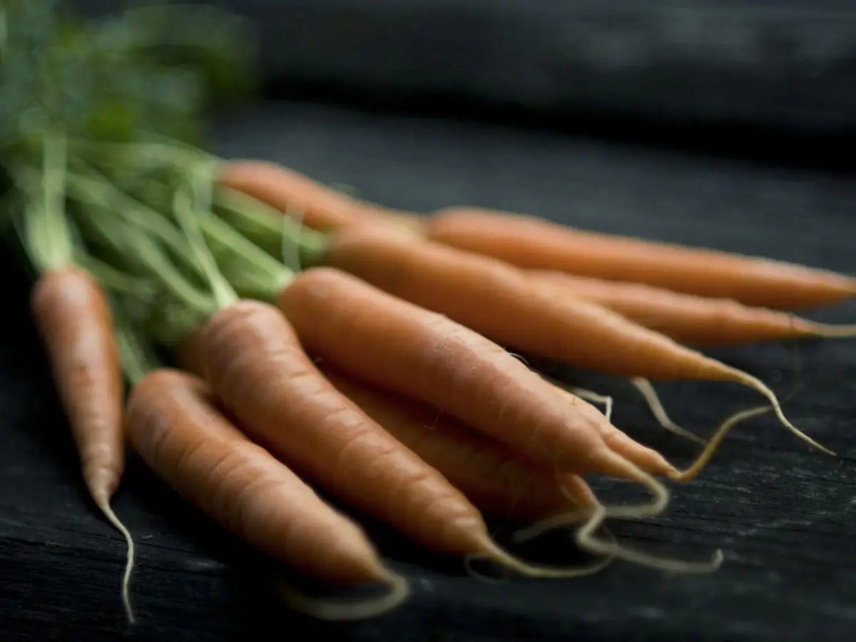 color-zanahorias