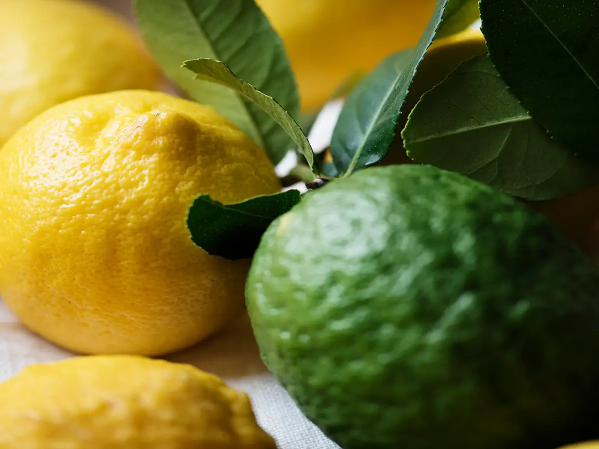 Diferencia limones limas