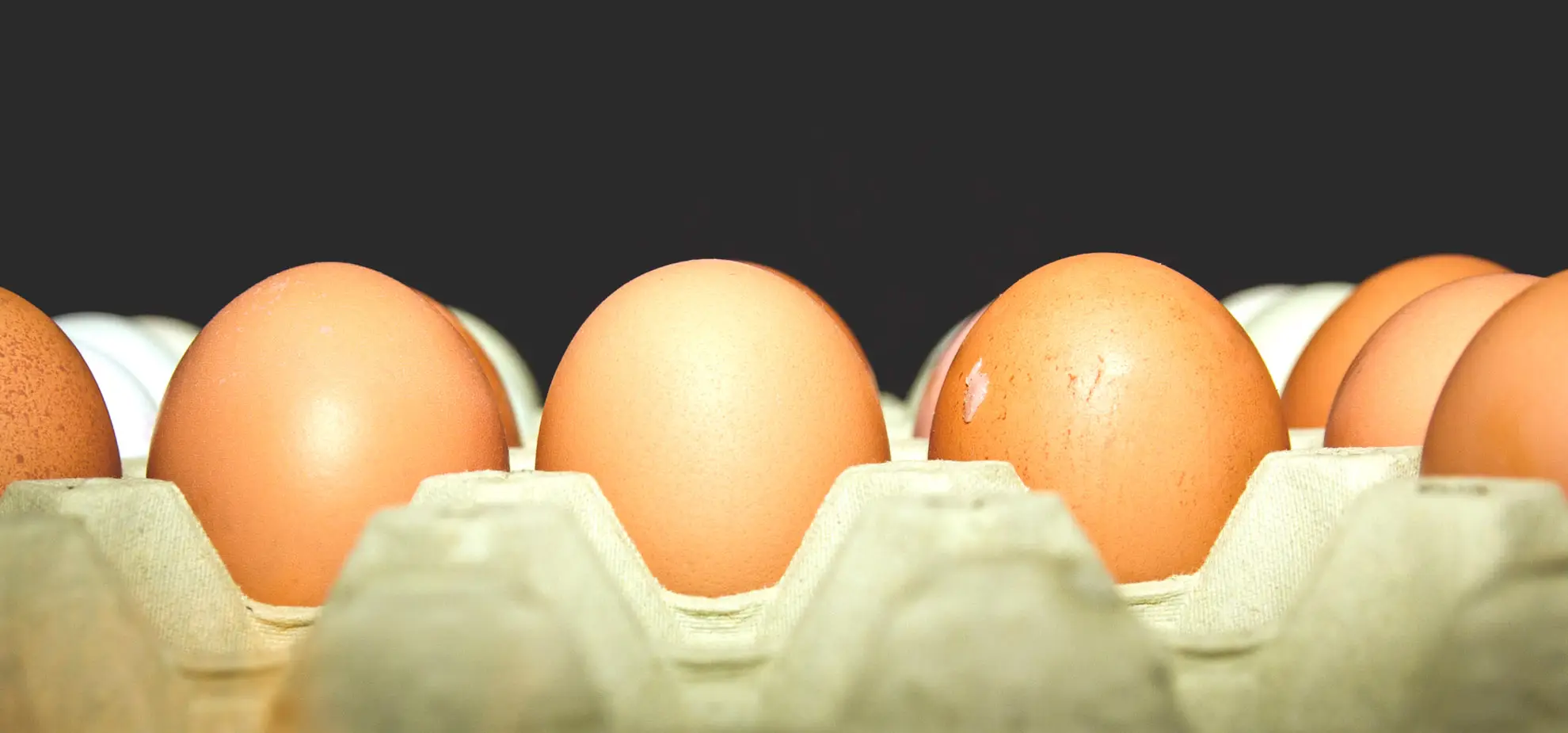 Guida al codice delle uova
