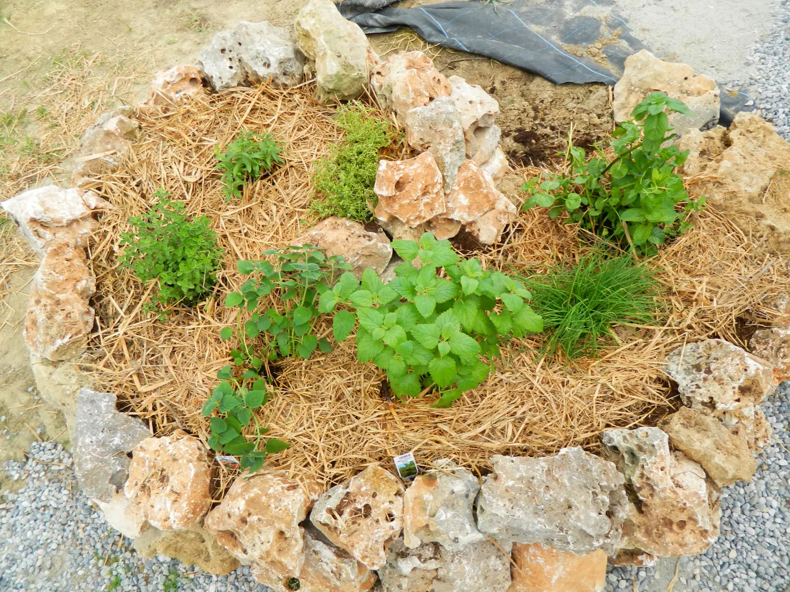 Permacultura: alla prova la spirale di erbe aromatiche