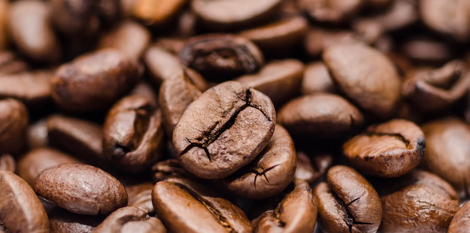 Tipologie e modalità di preparazione del caffè