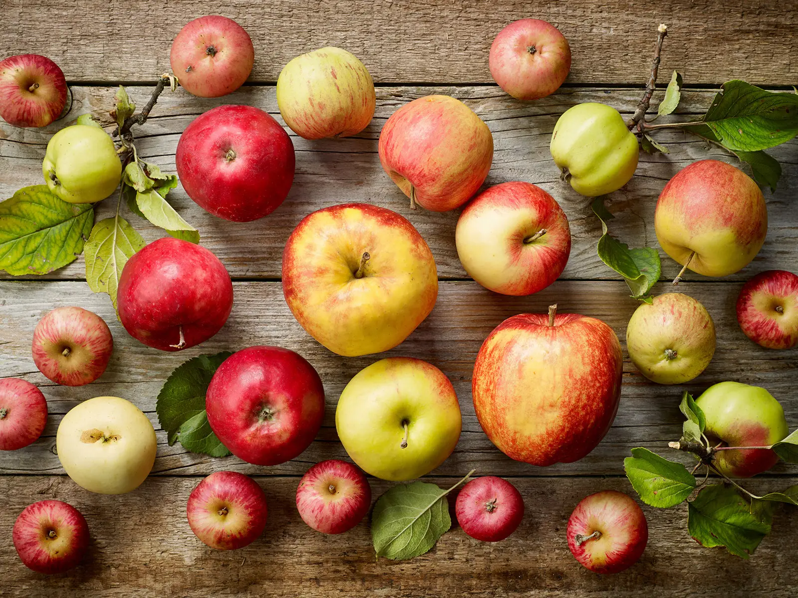 La mela giusta per il piatto giusto, 5 varietà a confronto