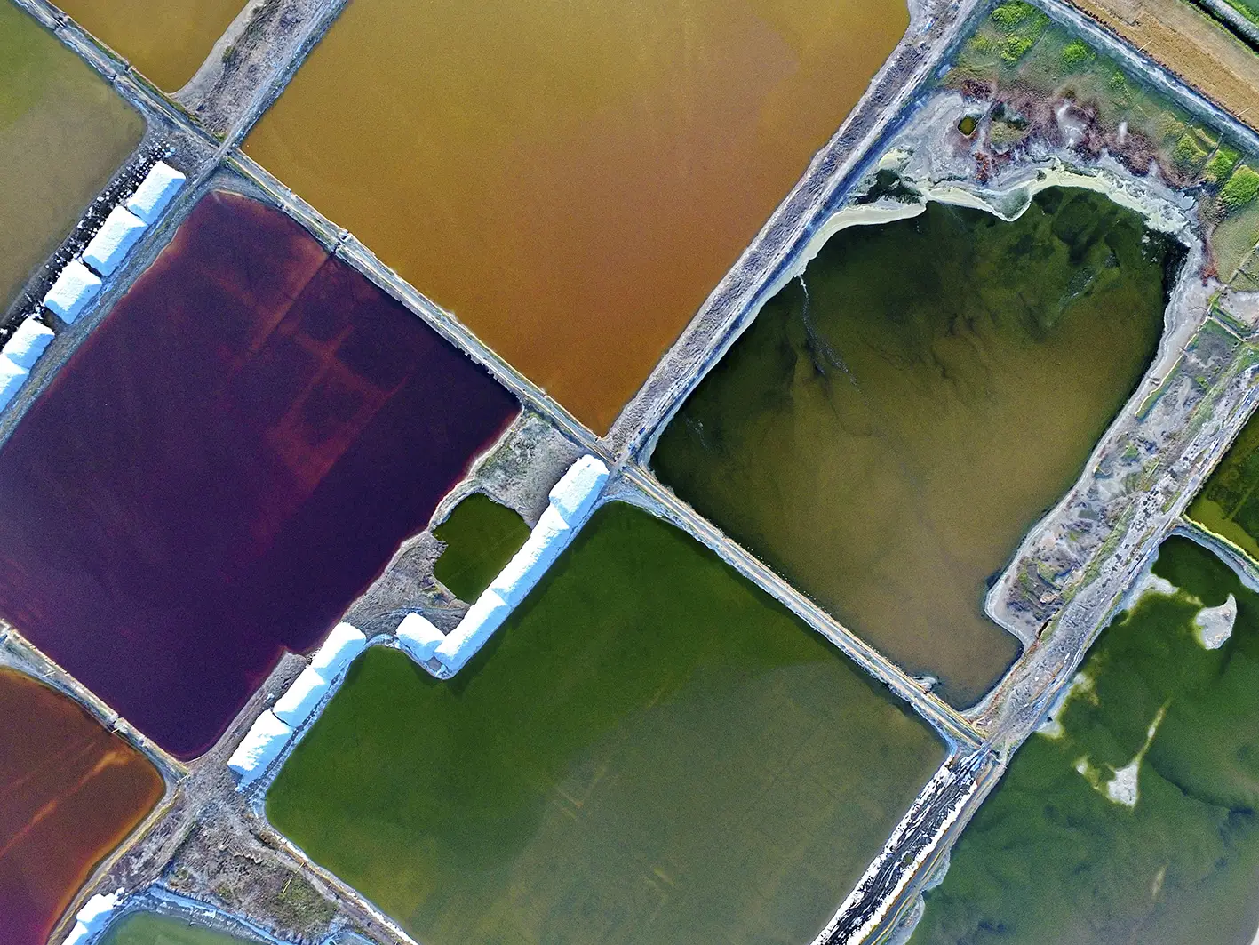 Il Mar Morto della Cina: il lago mosaico colorato dall'alga