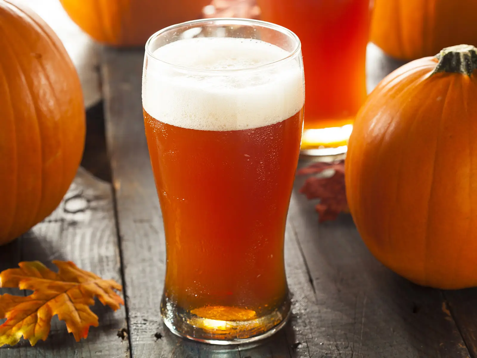 Birra alla zucca: quando luppolo e Halloween si incontrano